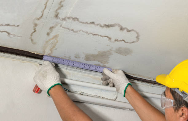 Reliable Water Damage contractor in Logan, WV by Water Damage Irwin